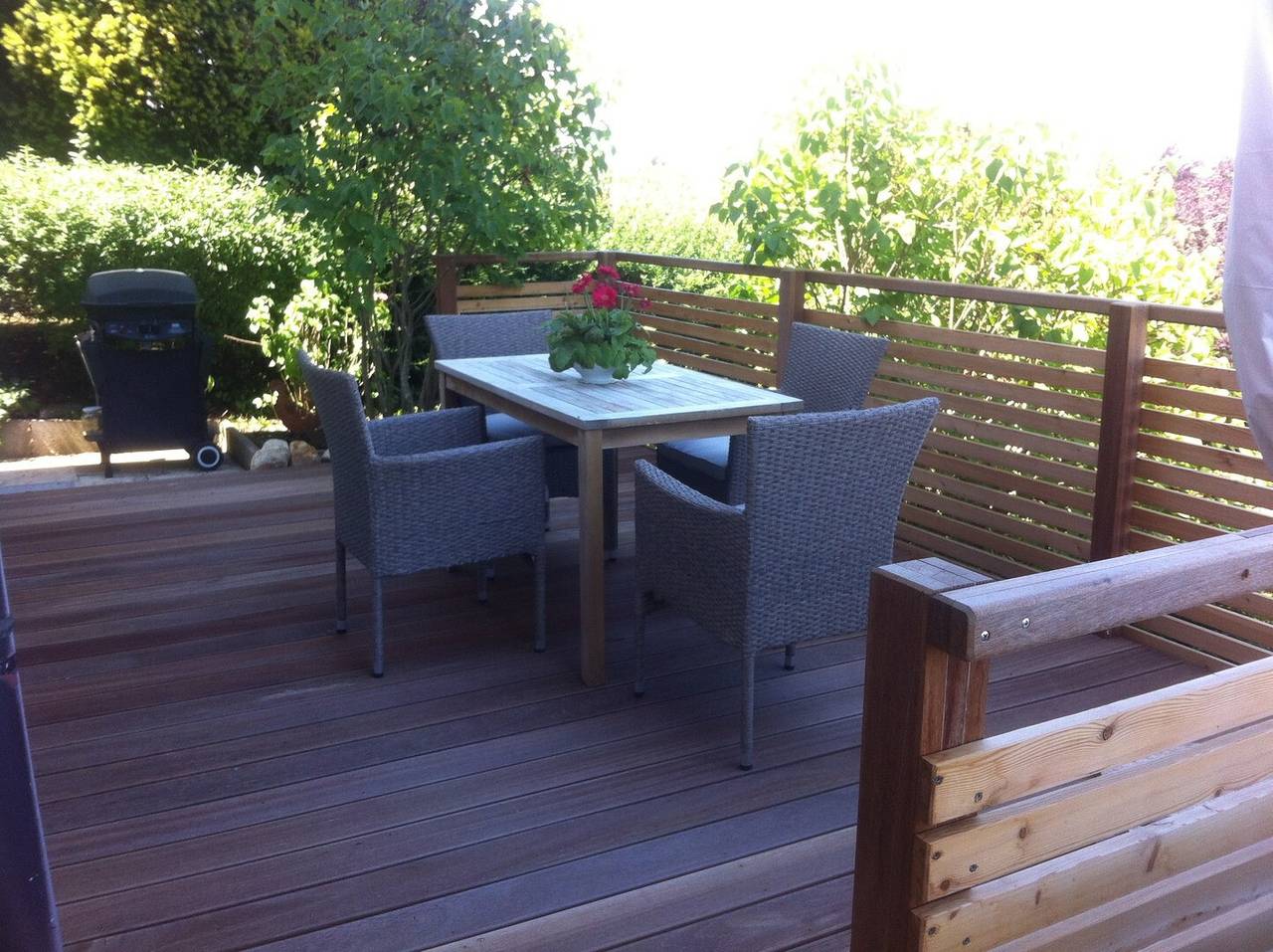 Ganze Wohnung, Apartment 'Jonagold, 70qm' mit Seeblick, privater Terrasse und Wlan in Kippenhausen, Immenstaad am Bodensee