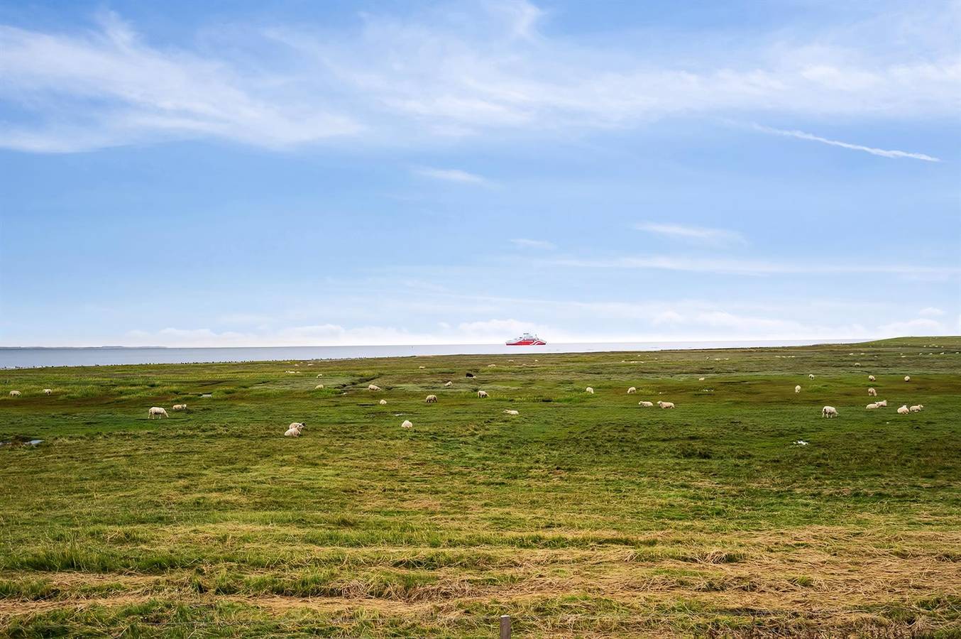 Ganze Wohnung, 3 bedroom pet friendly apartment in Rømø in Sønderstrand, Havneby