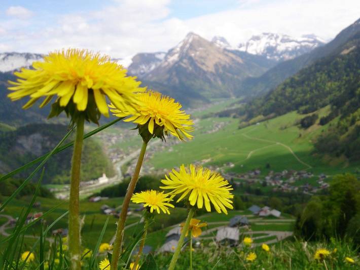 Ferienwohnung für 6 Personen, mit Ausblick und Garten sowie Terrasse, kinderfreundlich in Au - 3