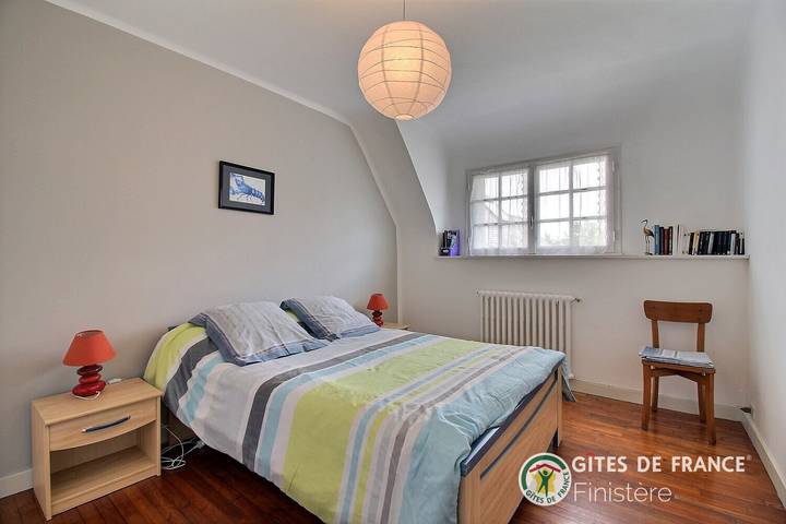 Les agapanthes in Combrit, Region de Quimper