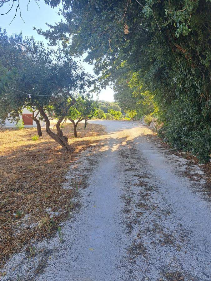 Maison d’hôte pour 4 personnes, avec terrasse ainsi que vue et jardin à Locorotondo - 2
