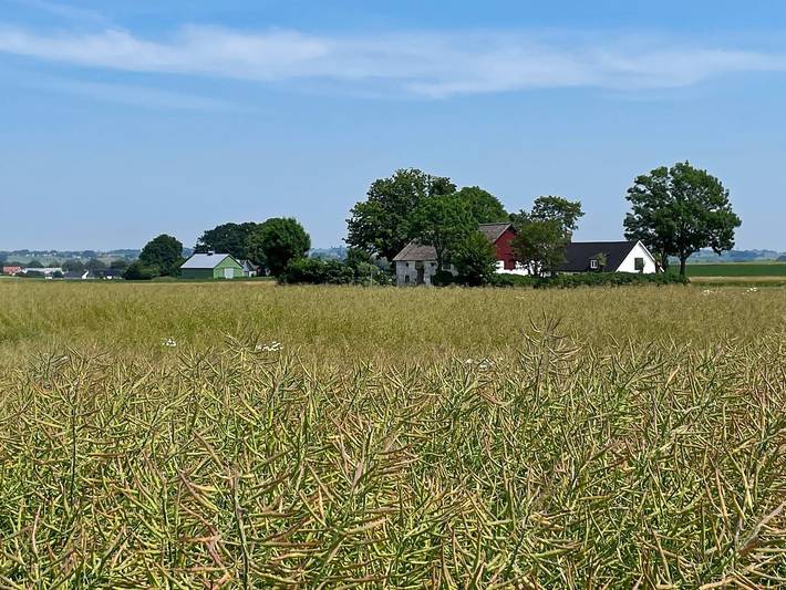Ferienhaus für 8 Personen, mit Garten und Ausblick in Skane - 2