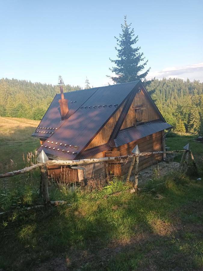 Terenowka Bacowka in Karpaty (Polska)