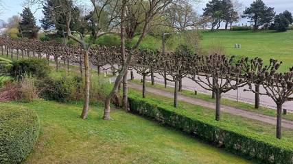 Ferienwohnung für 2 Personen in Travemünde, Lübecker Bucht, Bild 1