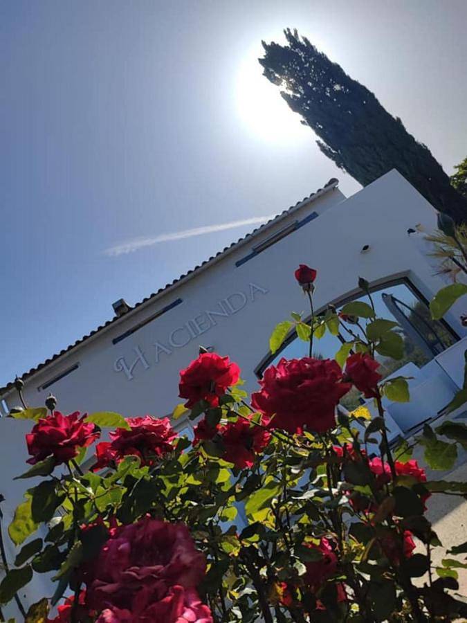 Suite in Oletta, Région de Calvi