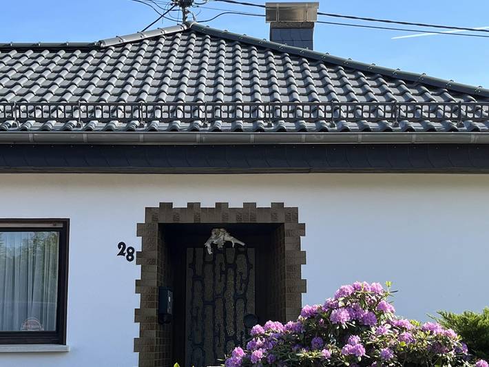 Ferienwohnung für 4 Personen, mit Balkon und Terrasse sowie Garten in Rengsdorf-Waldbreitbach - 2