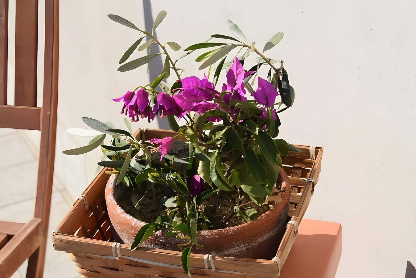 Casa Vacacional 'Moon' con Terraza Privada y Aire Acondicionado in Quartu Sant'Elena, Campidano