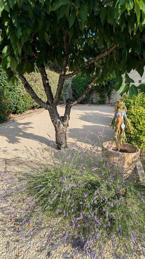 Maison d’hôte pour 2 personnes, avec vue ainsi que piscine et jardin à Robion - 3