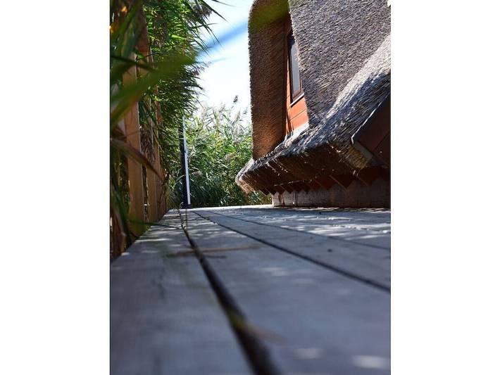 Chalet im See Nr.51 in Rust (Burgenland), Leithaberg