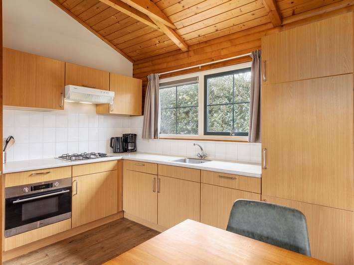 Location de vacances pour 6 personnes, avec piscine ainsi que jardin et terrasse, animaux acceptés à Putten - 3