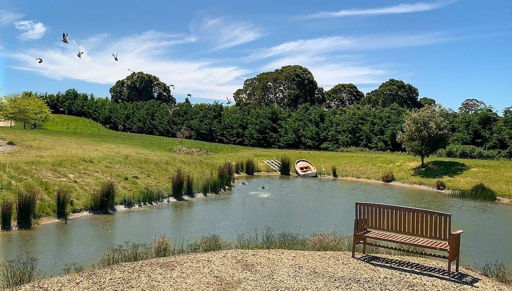 Mesmerising Holiday House with lake views! in Lyonville, Hepburn Shire
