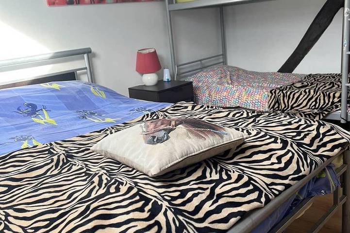 Location de vacances pour 10 personnes, animaux acceptés à Leuze-en-Hainaut - 4