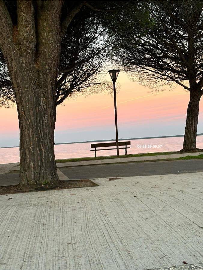 Appartement entier, Appartement les pieds dans l eau in Maubuisson, Carcans