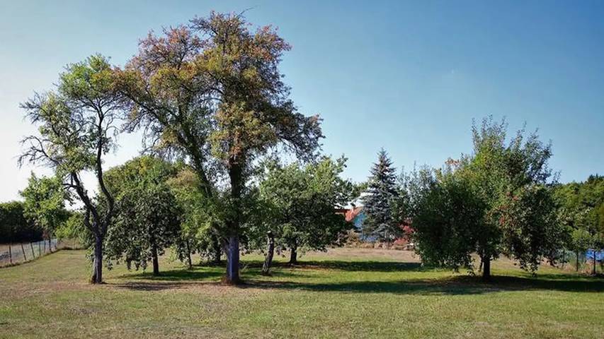 Ferienwohnung für 6 Personen, mit Balkon und Garten in Obertrubach - 3