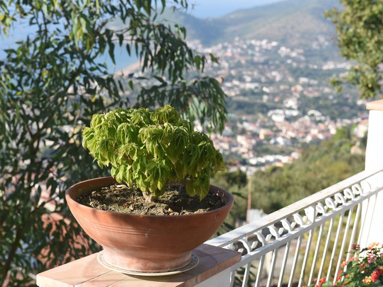 Apartamento entero, Villa Felice 3 in Castellabate, Cilento