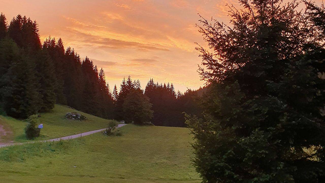 Doppelzimmer für 2 Personen in Schluchsee in Blasiwald (Schluchsee), Schluchsee