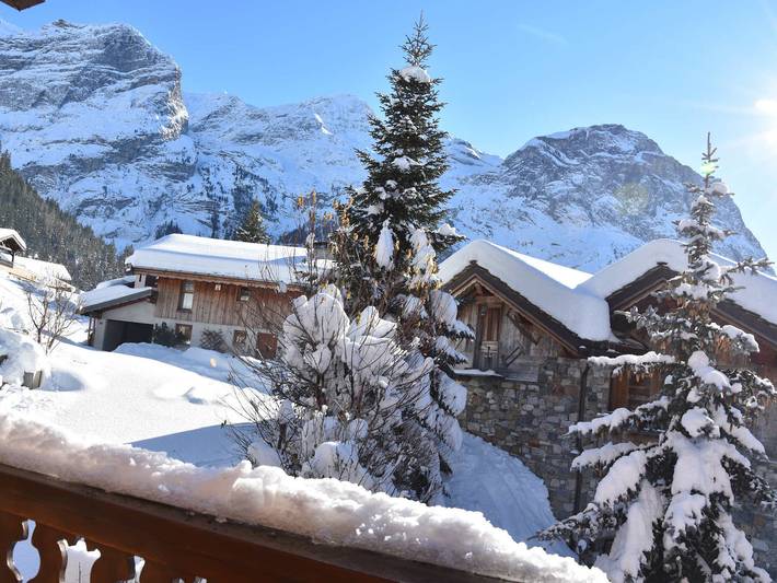 Appartement entier, Charmant 2 pièces ensoleillé, balcon sud, parking, proche pistes in Pralognan-la-Vanoise, Massif de la Vanoise