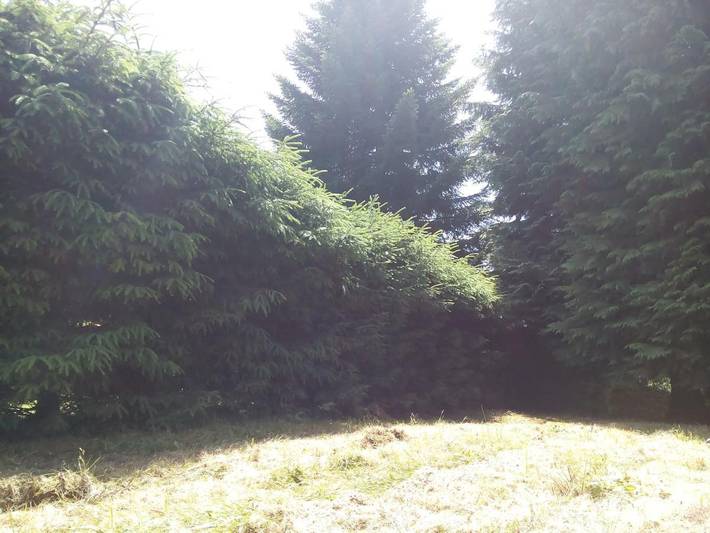 Gîte pour 2 personnes, avec vue et jardin à Saint-Rémy-sur-Durolle - 4