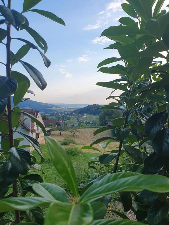 Ferienwohnung für 4 Personen, mit Ausblick und Garten, mit Haustier in der Oststeiermark - 2