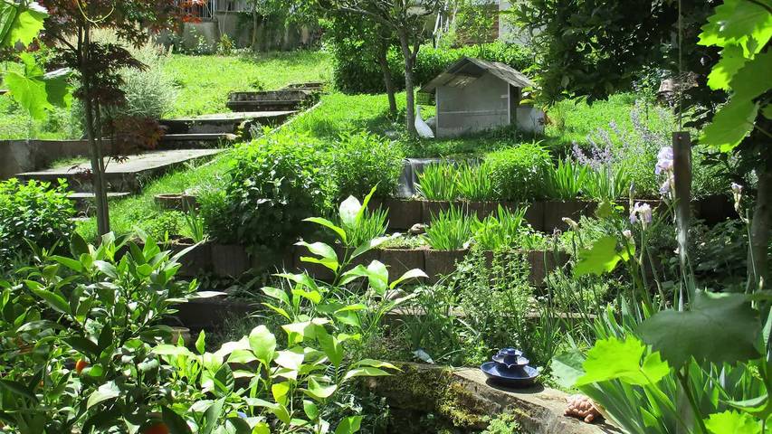 Ferienwohnung für 3 Personen, mit Garten in Erbach im Odenwald - 4