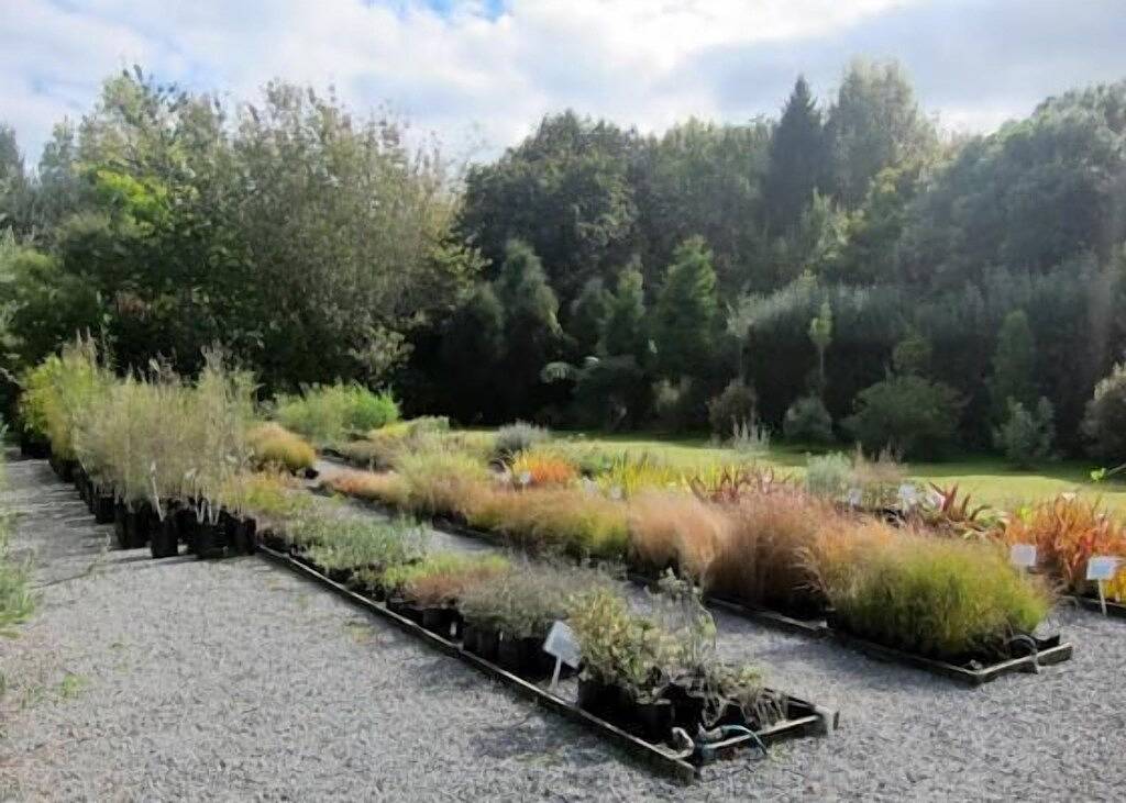 Historischen Backsteinställe in Kapiti Coast District