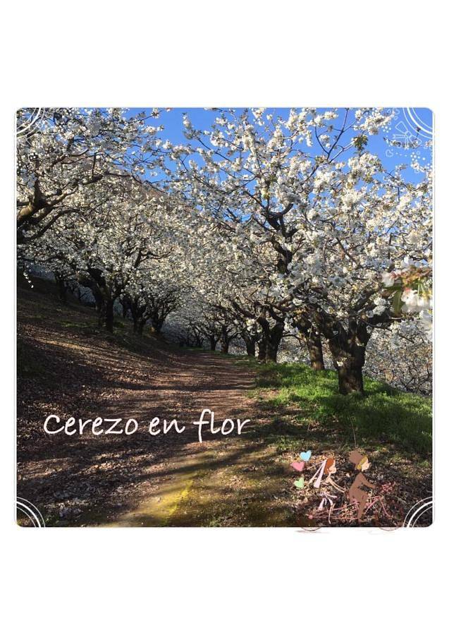 Casa rural para 4 personas, con balcón y vistas en Casas del Monte