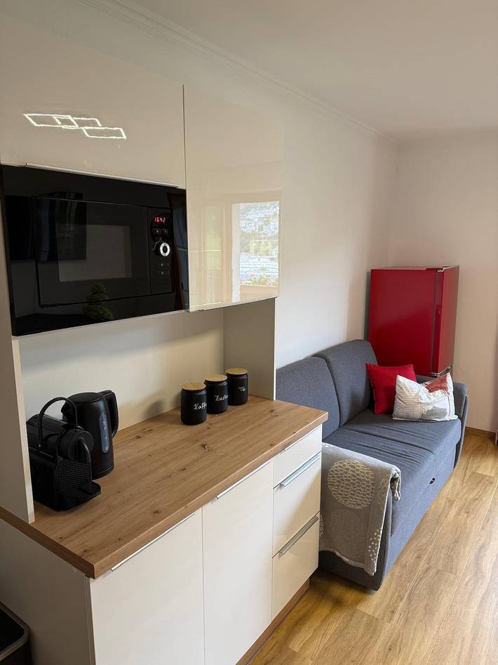 Entire holiday apartment, Apartment, shower or bath, toilet, 2 bed rooms in Sankt Johann im Pongau, Ski Amadé