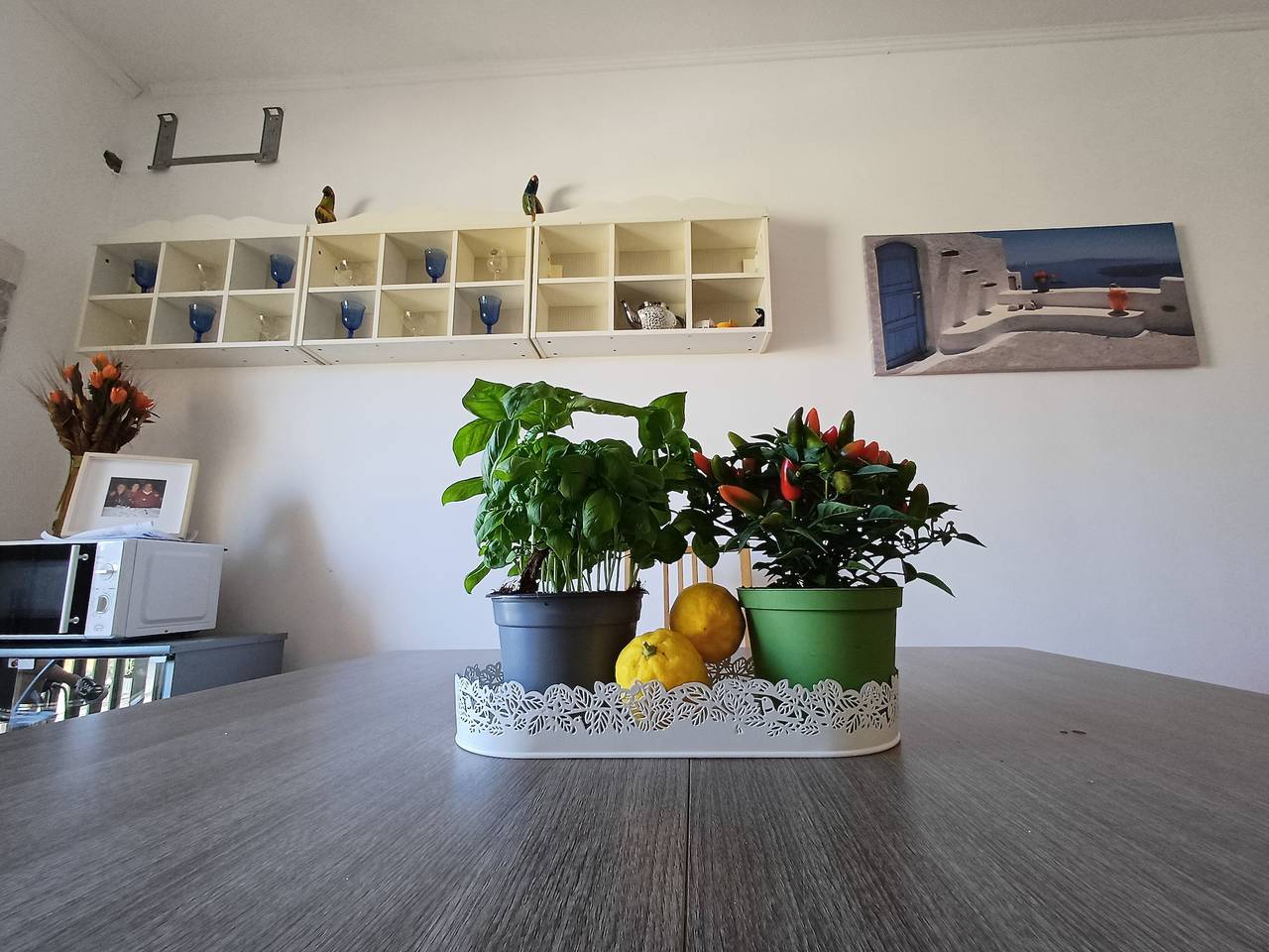 Ganze Wohnung, Apartment 'Due Passi Dalla Spiaggia' mit Meerblick, Wlan und Klimaanlage in Nettuno, Rom Provinz