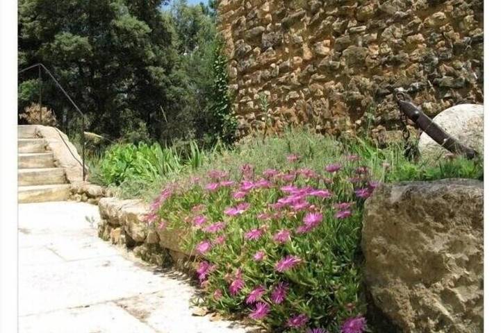Mas provenzal tradicional, con piscina en circunstancias excepcionales in Saint-Restitut, Región de Nyons