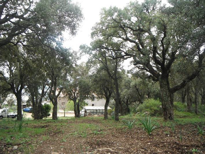 Chambre d’hôte pour 2 personnes, avec jardin en Corse - 4