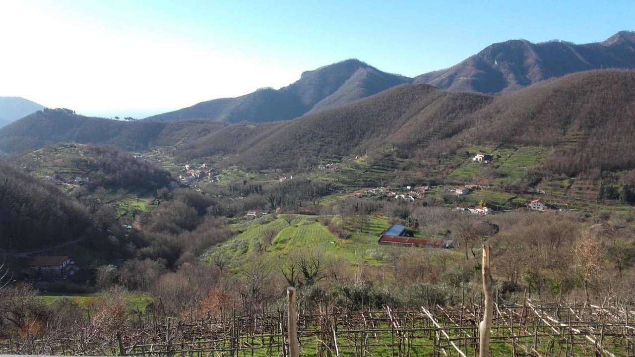 La Casa in Vigna in Tramonti, Monti Lattari
