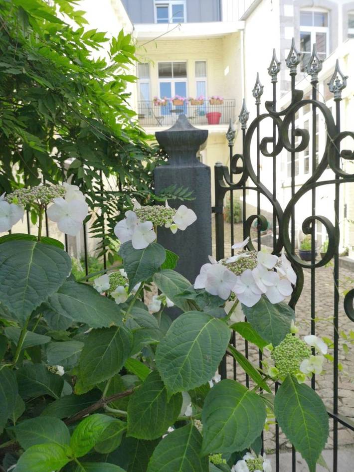 Gîte pour 5 personnes, avec jardin et vue à Herve - 4