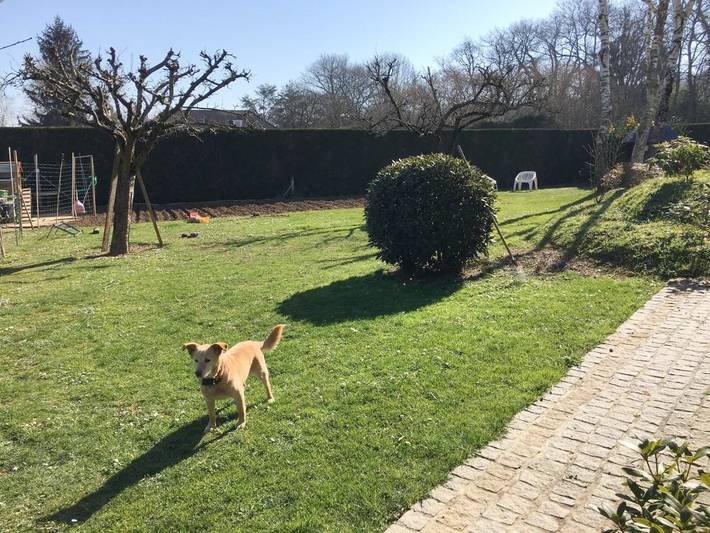 Villa pour 4 personnes, avec jardin et vue dans Béarn - 4
