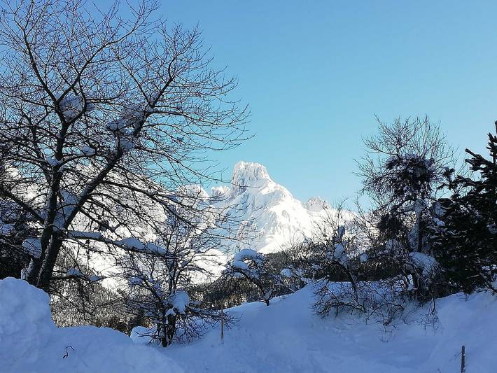 Ferienhaus für 4 Personen, mit Balkon und Garten, kinderfreundlich in Annaberg-Lungötz