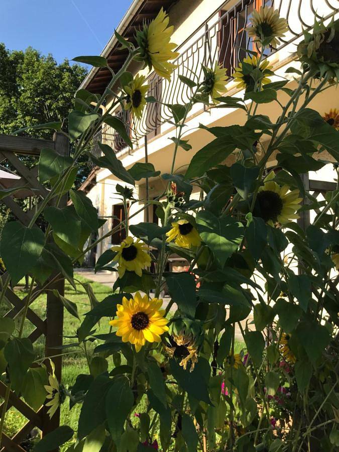 Appartement de vacances pour 4 personnes, avec Terrasse ainsi que Jardin et Vue