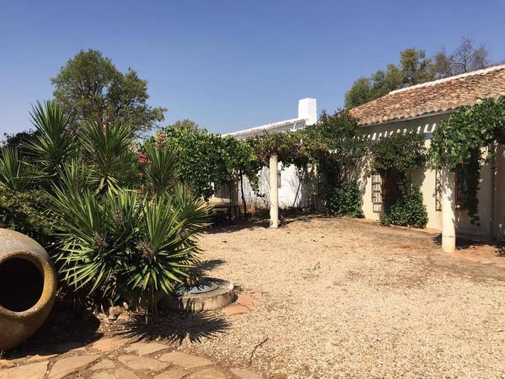 Casa rural para 10 personas, con vistas además de piscina y jardín, Se admiten mascotas en Provincia de Albacete - 2