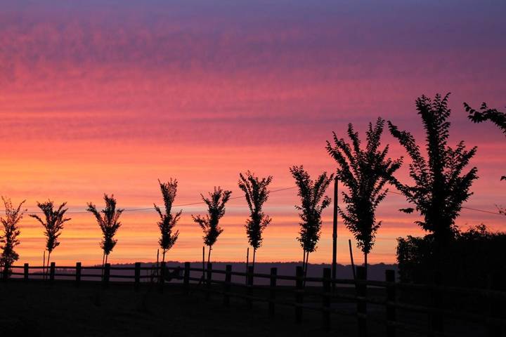 Tente pour 4 personnes, avec sauna ainsi que jardin et jacuzzi, adapté aux familles dans Orne - 3