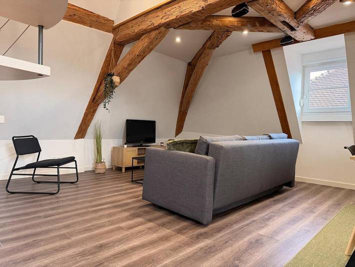 Gîte pour 6 personnes, avec vue et terrasse, animaux acceptés dans Logelbach - 2