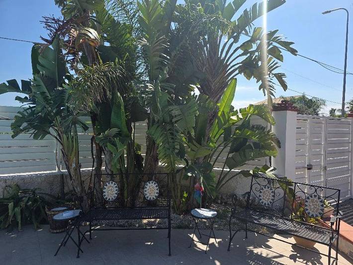 Chambre d’hôte pour 3 personnes, avec jardin et piscine, animaux acceptés à Syracuse - 2