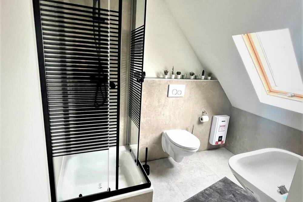 Ganze Wohnung, Großes modernes Apartment in Ludw in Ortsbezirk Ludwigshafen-Oppau, Ludwigshafen