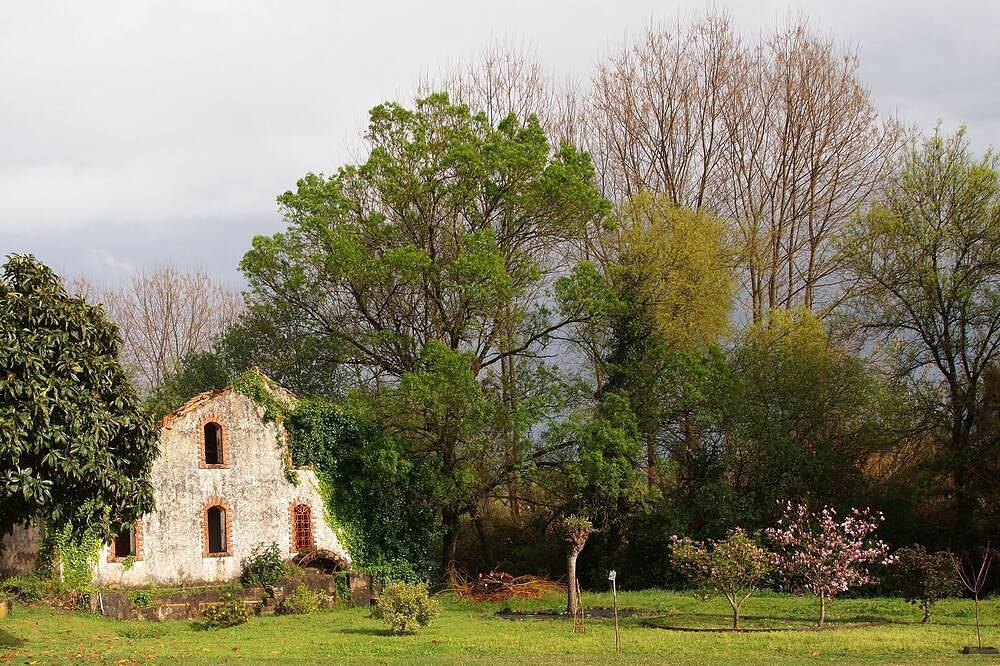 House by the river, quiet area, close to mountains, beaches and towns and walks in Soure, Coimbra District