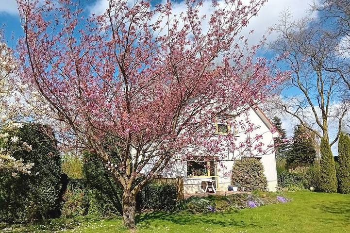 Ferienhaus für 4 Personen, mit Garten in Dargun