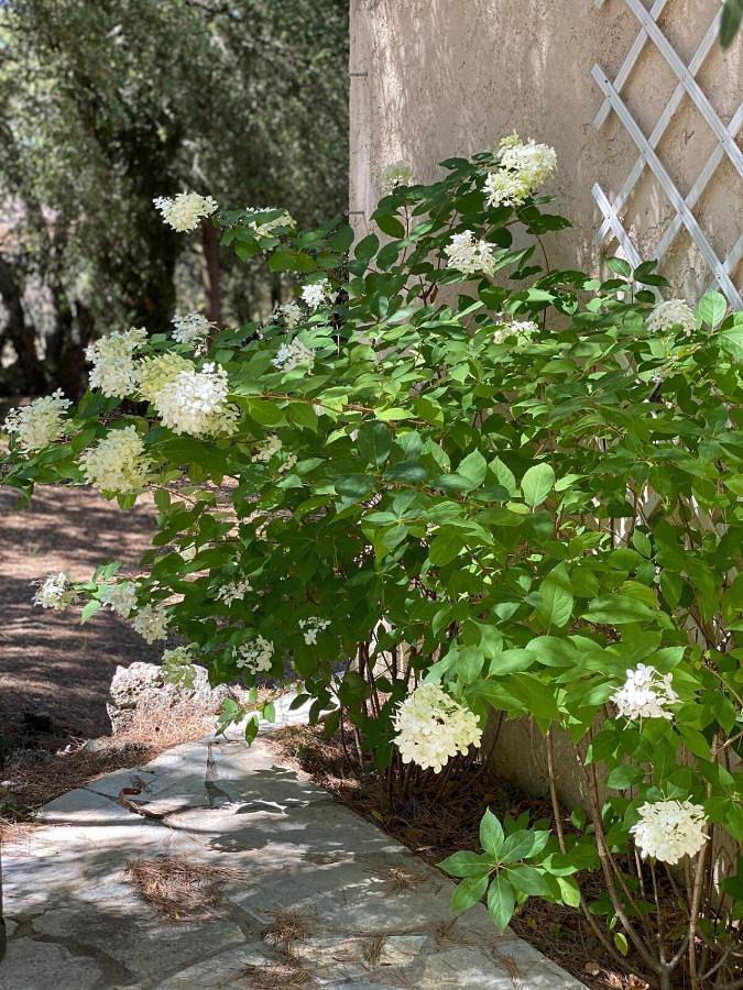 Location de vacances pour 6 personnes, avec terrasse et piscine ainsi que jardin et vue à Pignans - 3
