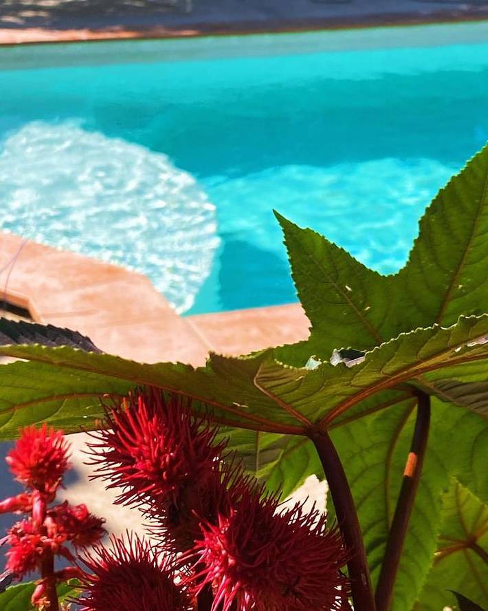 Location de vacances pour 2 personnes, avec piscine ainsi que jardin et balcon à La Motte - 3