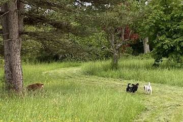 Gîte pour 8 personnes, avec jardin dans Chailly-en-Gâtinais