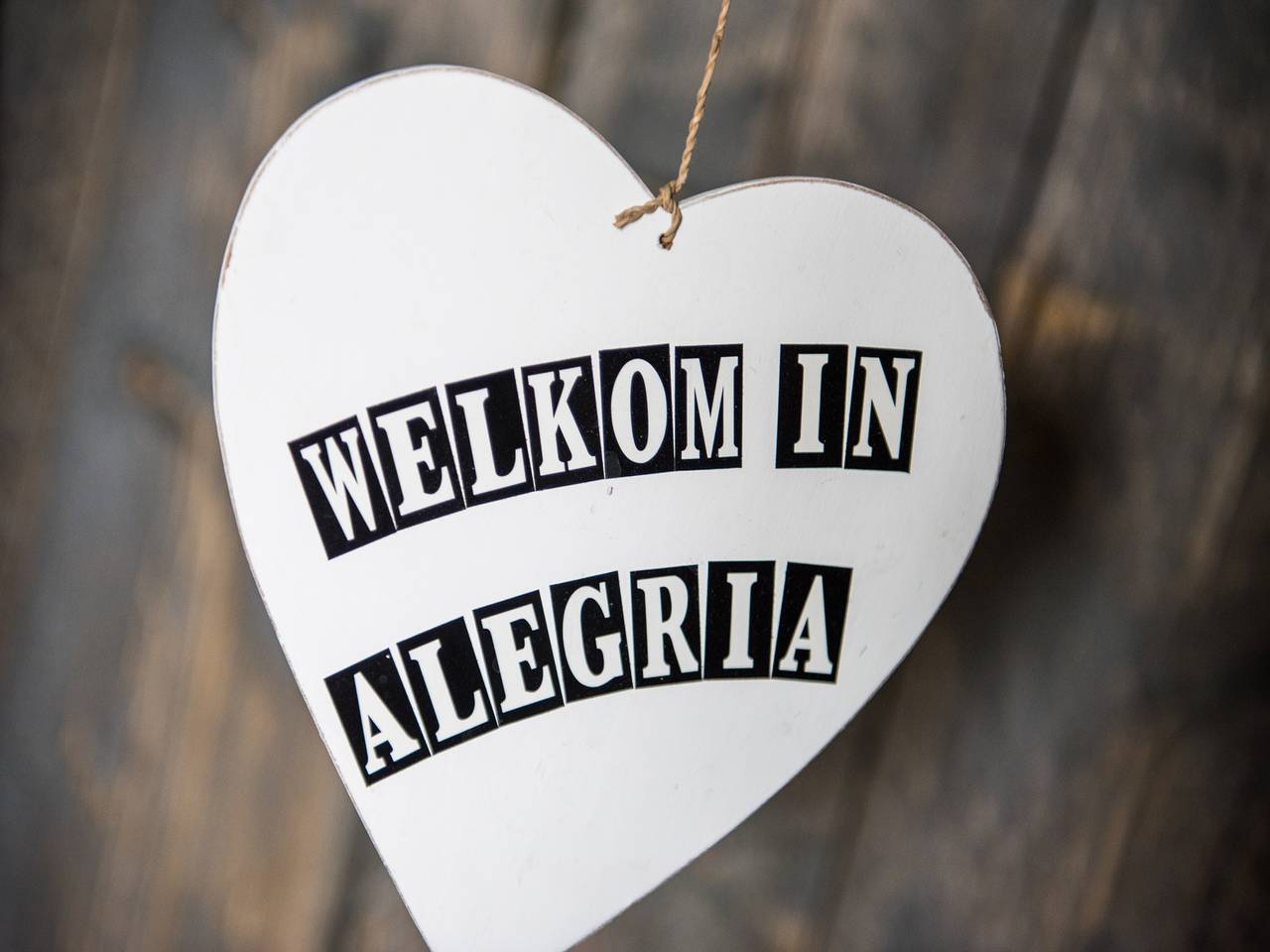 Alegria - maximal 9 Personen in Ballum, Westfriesische Inseln