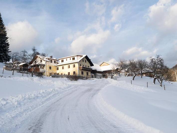 Bauernhof für 2 Personen, mit Ausblick und Garten in Lunz am See - 2