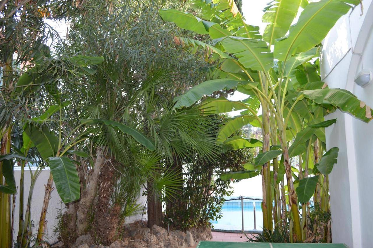 Appartamento intero, Three-Bedroom Apartment in Ischia Porto, Ischia Città