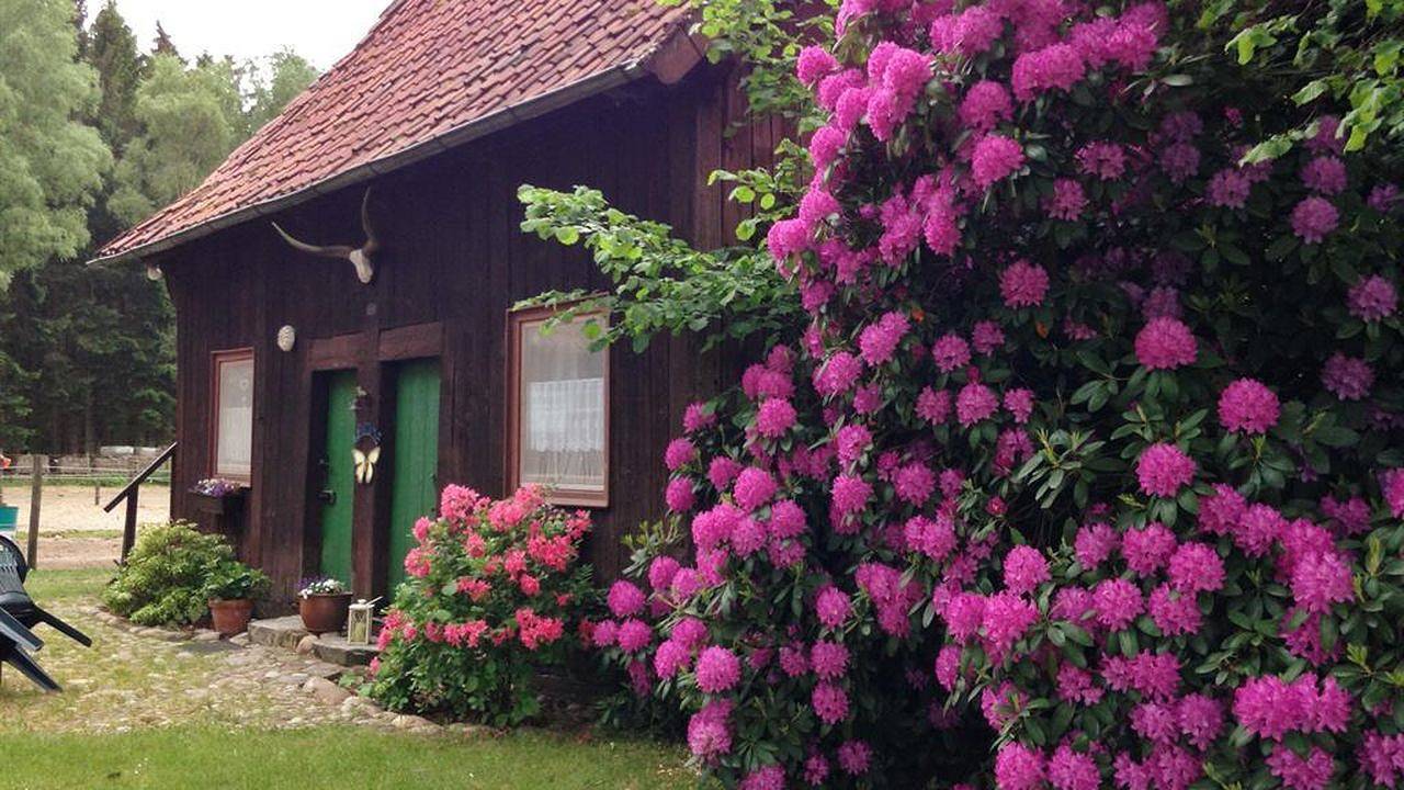 Vakantiehuis voor 4 personen met tuin in Wietzendorf, Landkreis Heidekreis