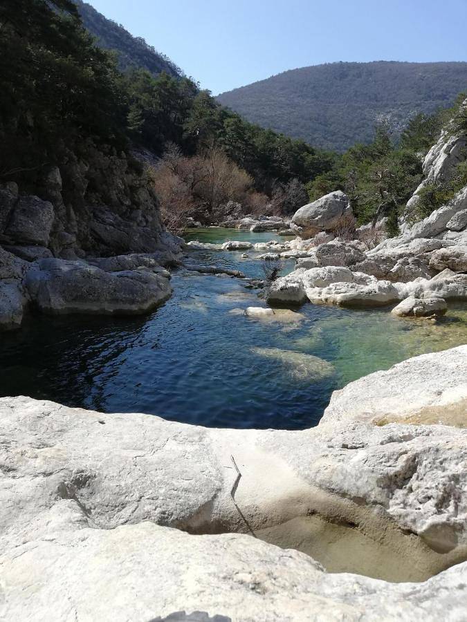 Chambre d’hôte pour 2 personnes, avec jardin ainsi que vue et terrasse, animaux acceptés dans Parc naturel régional du Verdon - 4